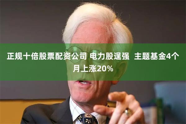 正规十倍股票配资公司 电力股逞强  主题基金4个月上涨20%