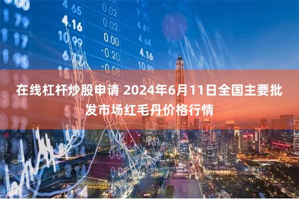 在线杠杆炒股申请 2024年6月11日全国主要批发市场红毛丹