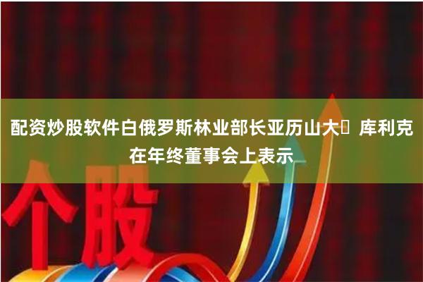配资炒股软件白俄罗斯林业部长亚历山大・库利克在年终董事会上表示