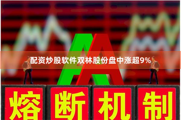 配资炒股软件双林股份盘中涨超9%