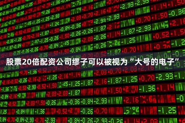 股票20倍配资公司缪子可以被视为“大号的电子”
